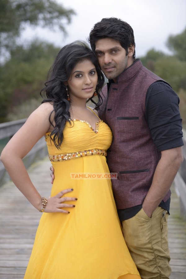 Anjali And Arya In Settai Movie 230