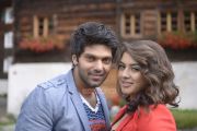 Arya Hansika Motwani Settai Still 270