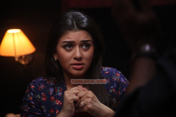 Hansika Motwani In Settai 788