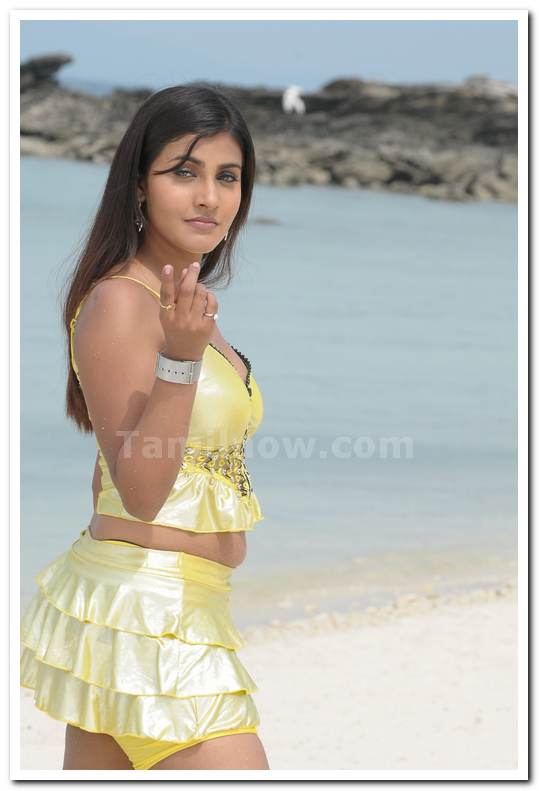 Chandni Still 3