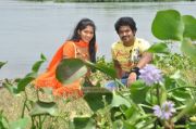 Tamil Movie Sokkali Photo 796