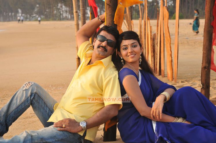 Sollithara Naaniruken Stills 7789