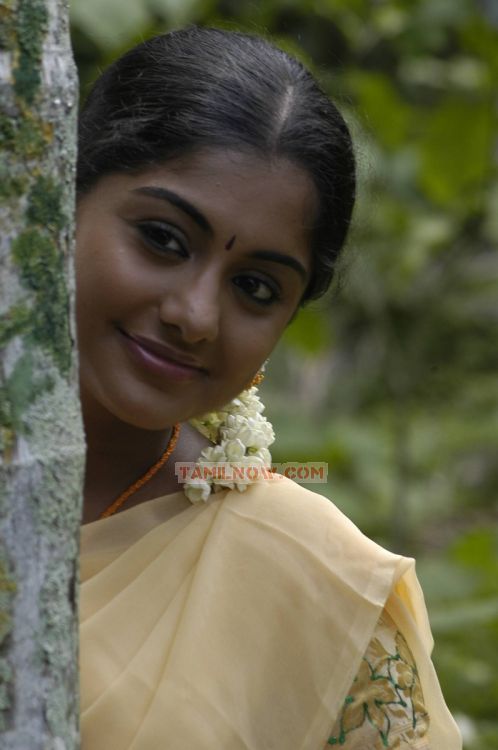 Actress Meera Nandan 750