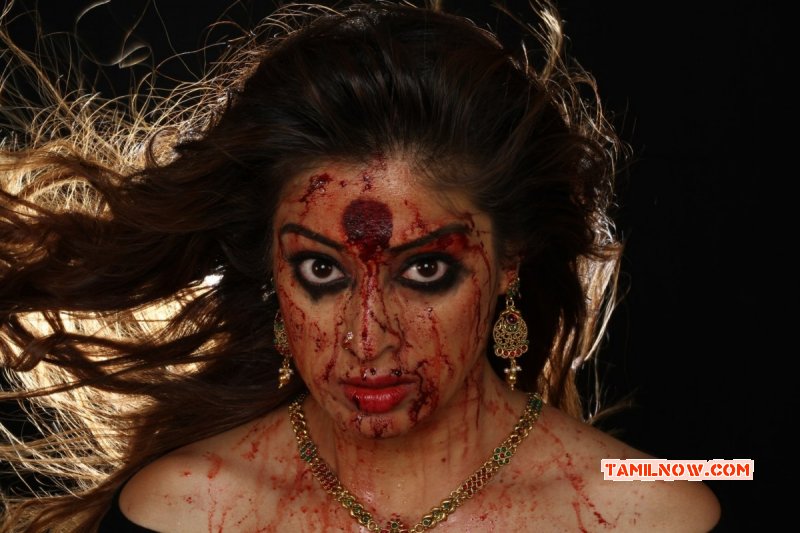 Raai Laxmi In Sowkarpettai Movie Gallery 874