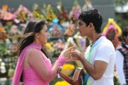 Hansika Motwani And Siddharth 233