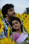 Sathya Prathista Swasame Movie Pic 143