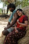 Tamil Movie Thee Kulikkum Pachay Maram Photos 8544