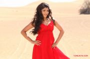 Tamil Movie Thigar Photos 3133