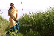 Tamil Movie Thotram 2012 Photos 3313