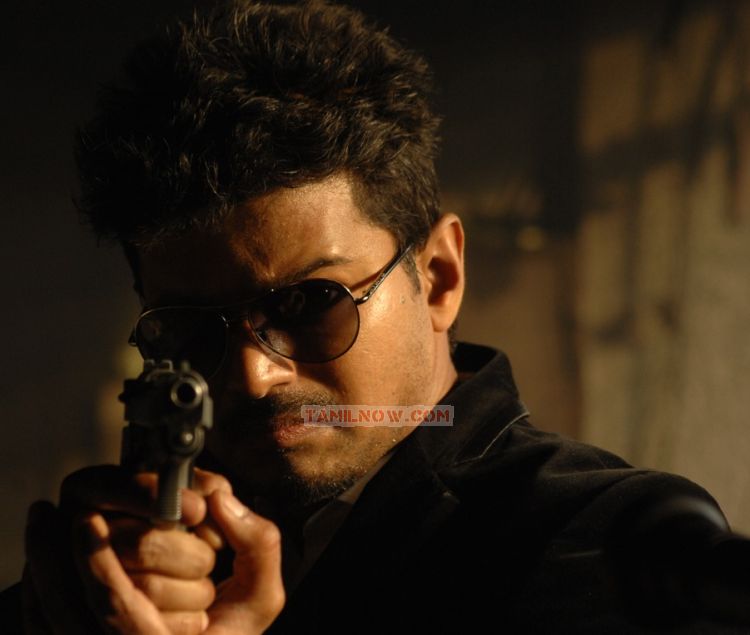 Vijay New Still From Thuppakki 579