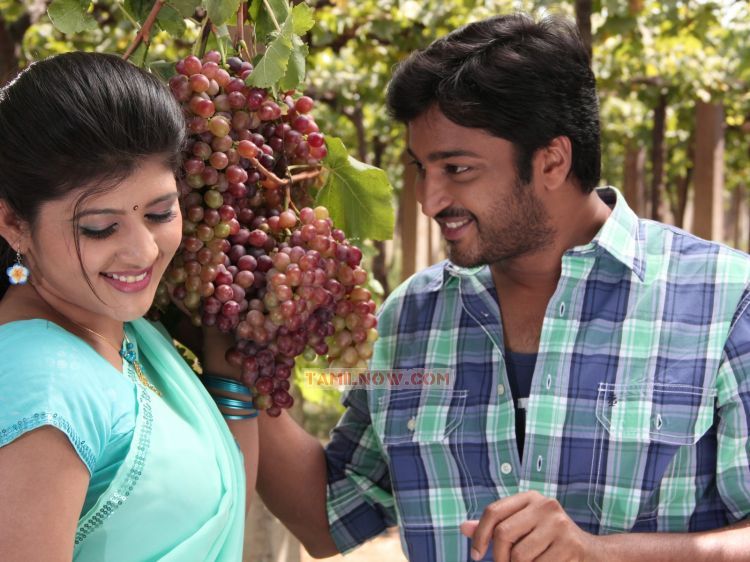 Movie Thuttu Photos 405