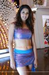 Samiksha Singh Hot In Tiger Vishva 398