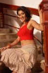 Samiksha Singh Hot Picture 437