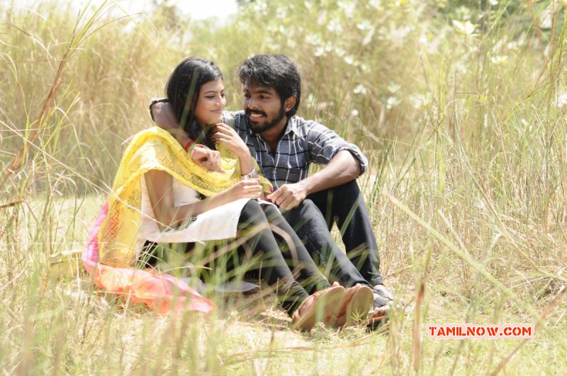 Cinema Trisha Illana Nayanthara Latest Wallpapers 1266