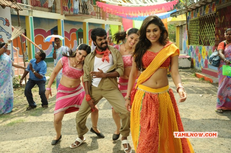 Tamil Cinema Trisha Illana Nayanthara 2015 Photos 8742