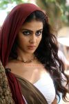 Actress Genelia Dsouza In Urumi 222