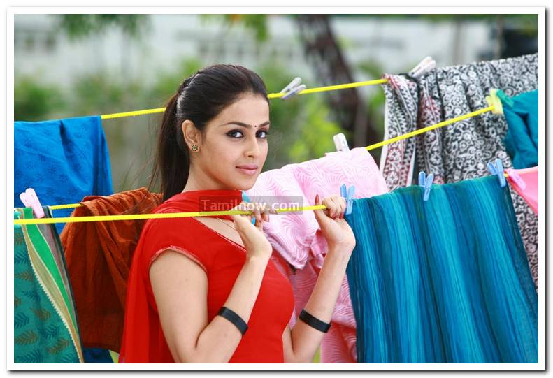 Genelia Dsouza Still 4