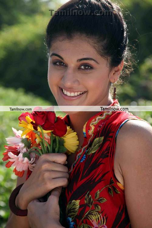 Tapsee Pannu Vandhaan Ventraan Still 7