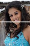 Tapsee Vandhaan Ventraan Still 4