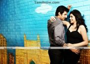 Vanthan Ventraan Movie Pic