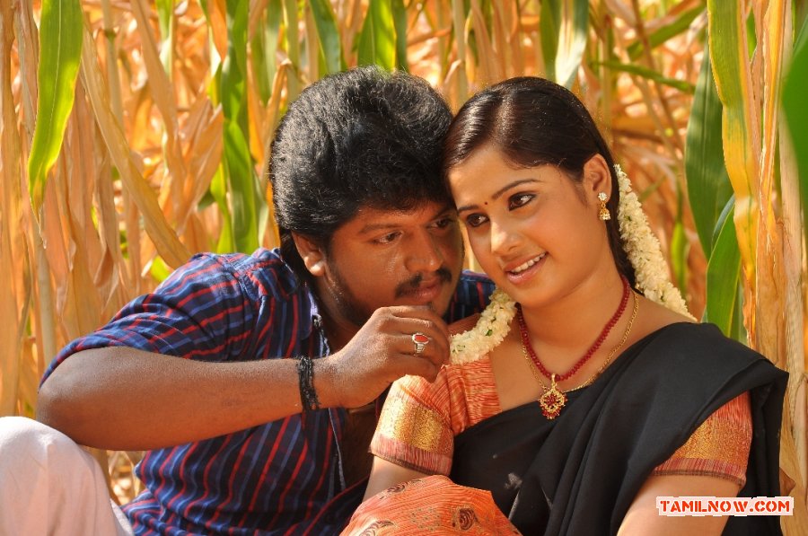 Movie Veerathiruvila 5628