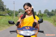 Veerathiruvila Stills 5268