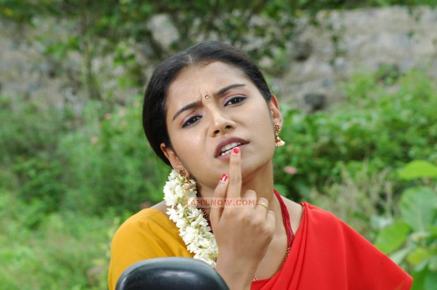 Tamil Movie Vellachi Stills 5004