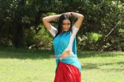 Tamil Movie Vettaiyadu Photos 2117