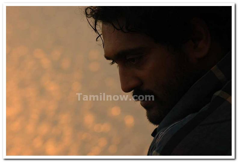 Ajay Still 7