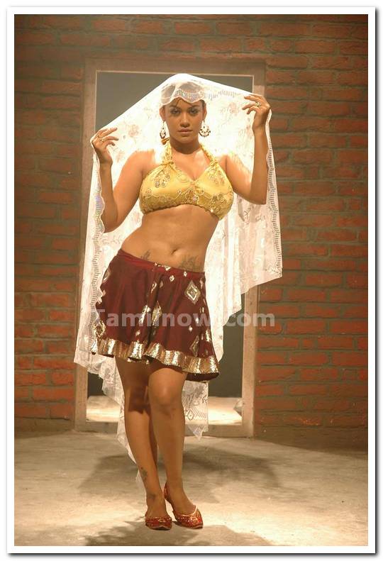 Mumaith Khan Still 10