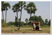 Vettattam Stills 2