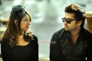 Yaen Endral Kaadhal Enbaen Stills 3197