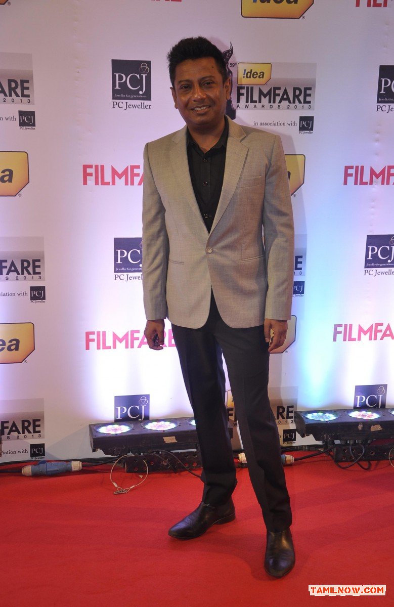 59th Idea Filmfare Awards 2013 5291