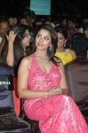 Richa Gangopadhyay At 59th South Indian Filmfare Awards 587