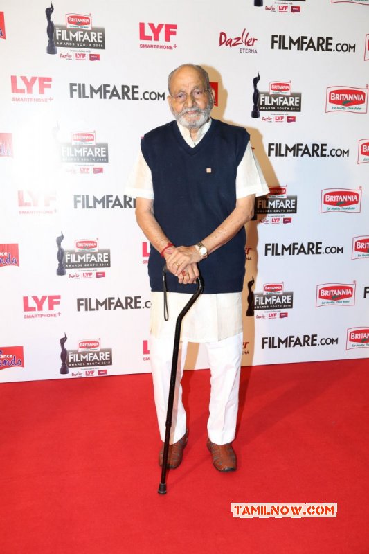 New Stills 63rd Filmfare Awards South Stills Tamil Function 3900