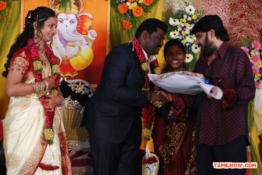 Actor Kottai Perumal Son Wedding Reception Photos 4979