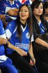 Nikesha Patel At Ccl 2 742