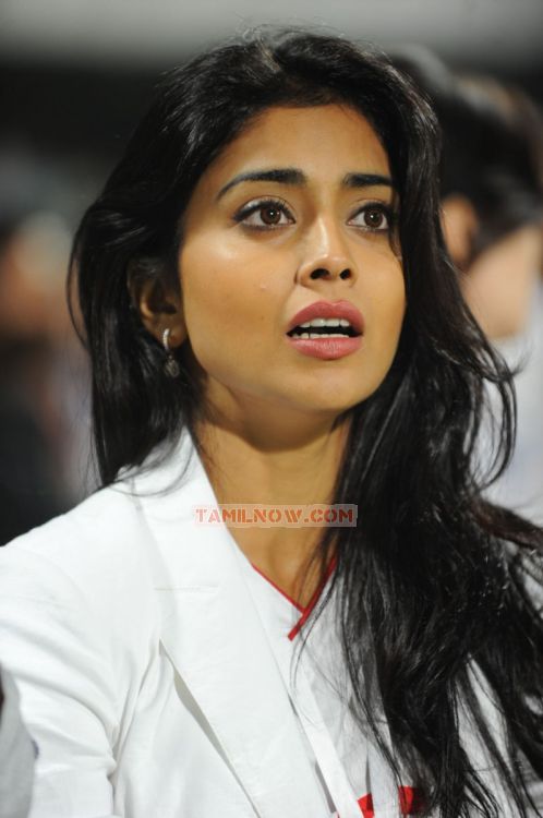 Shriya Saran At Ccl 2 414