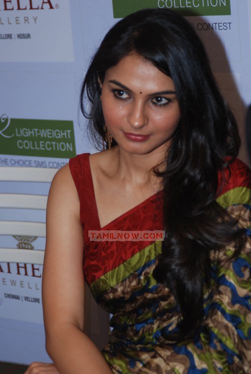 Andrea Jeremiah At Nathella Jewellery 9670