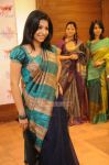 Anuja Iyer At Sri Palam Silks Stills 1732