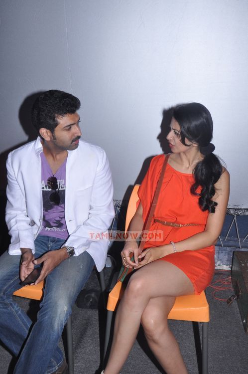 Arun Vijay And Rakul Preet Singh Launches Pix 5d Cinema Stills 2744