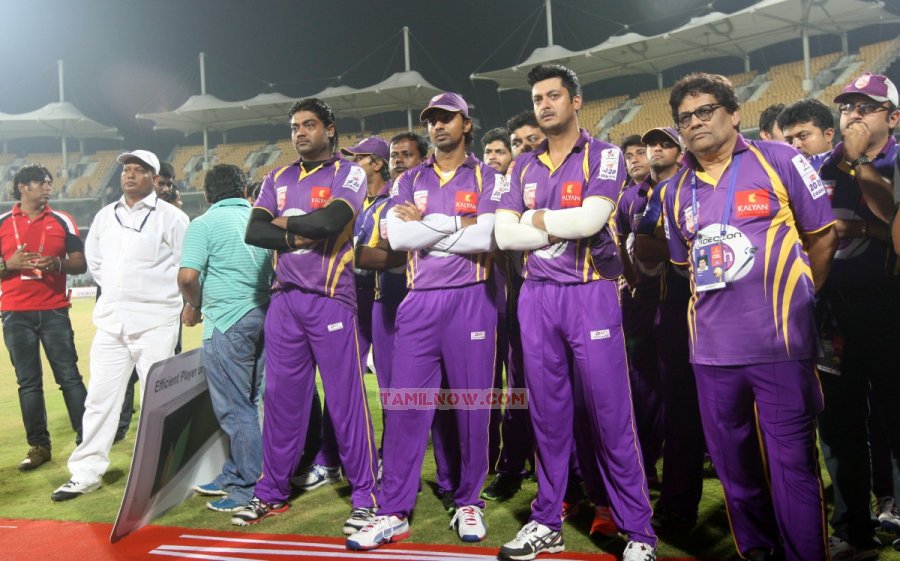 Bengal Tigers Team 386