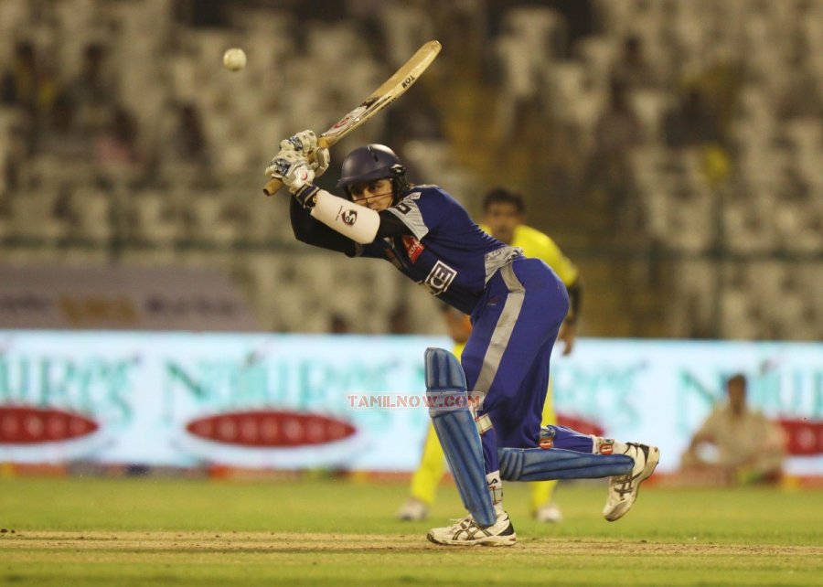 Ccl 3 Chennai Rhinos Vs Karnataka Bulldozers Stills 3832