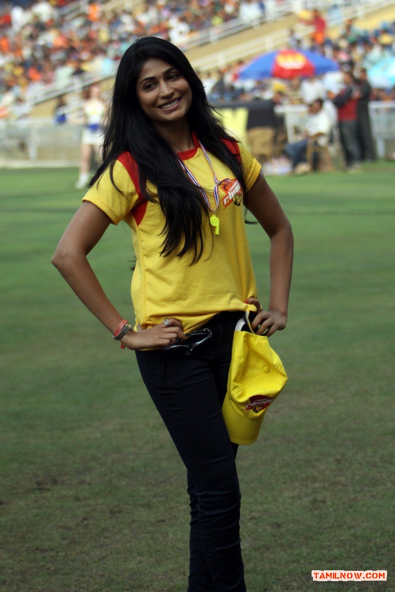 Ccl 4 Mumbai Heroes Vs Chennai Rhinos Match 4606