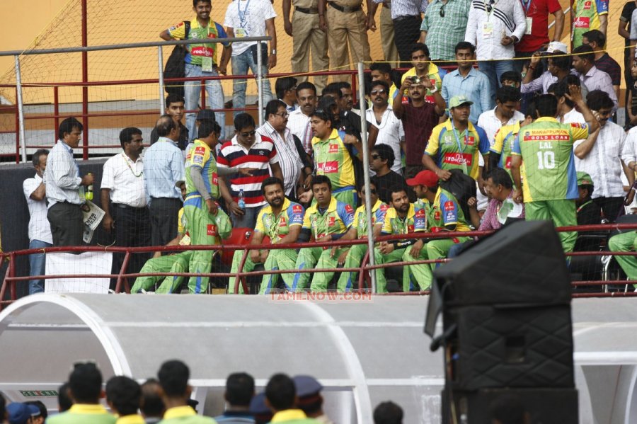 Ccl Chennai Rhinos Vs Bhojpuri Dabangs 3206