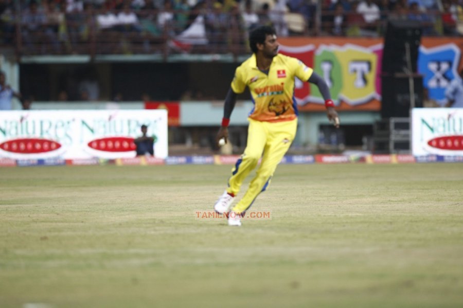 Ccl Chennai Rhinos Vs Bhojpuri Dabangs 5648