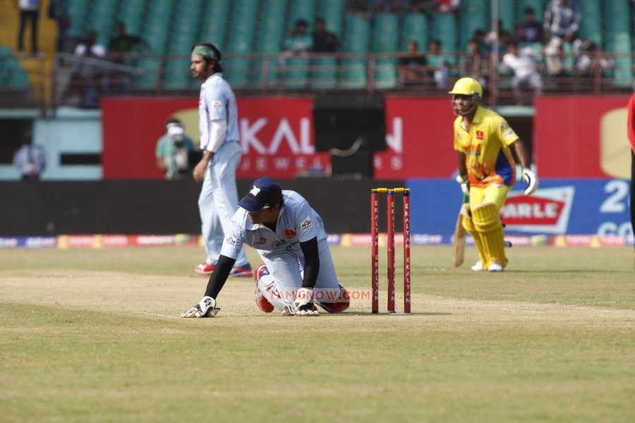 Ccl Chennai Rhinos Vs Bhojpuri Dabangs Photos 2690