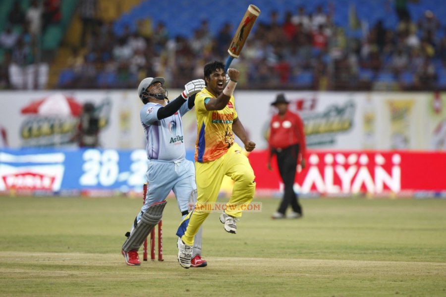 Ccl Chennai Rhinos Vs Bhojpuri Dabangs Photos 2765