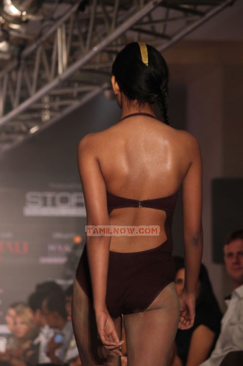 Chennai International Fashion Week Day 2 Photos 6981