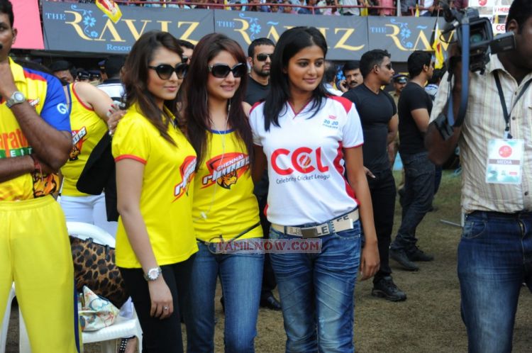 Chennai Rhinos Vs Bengal Tigers Stills 4730